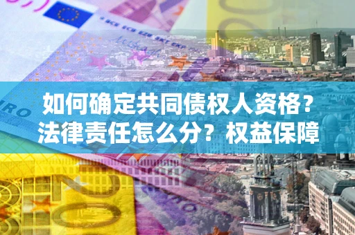 北京如何确定共同债权人资格？法律责任怎么分？权益保障技巧揭秘！